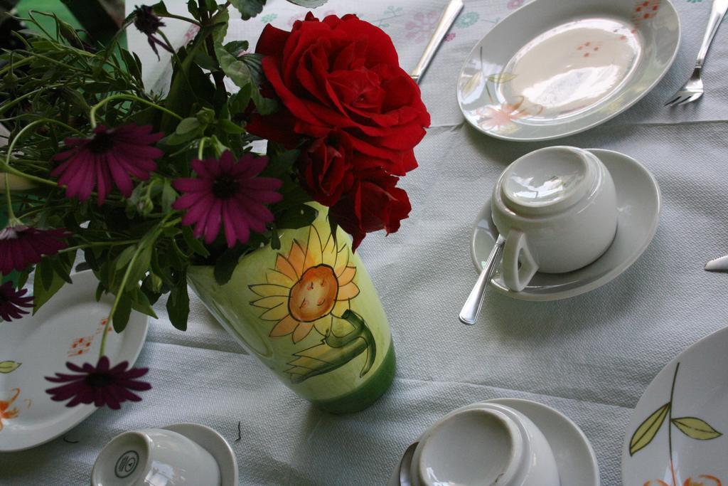 Des Roses Hotel Platanias  Buitenkant foto